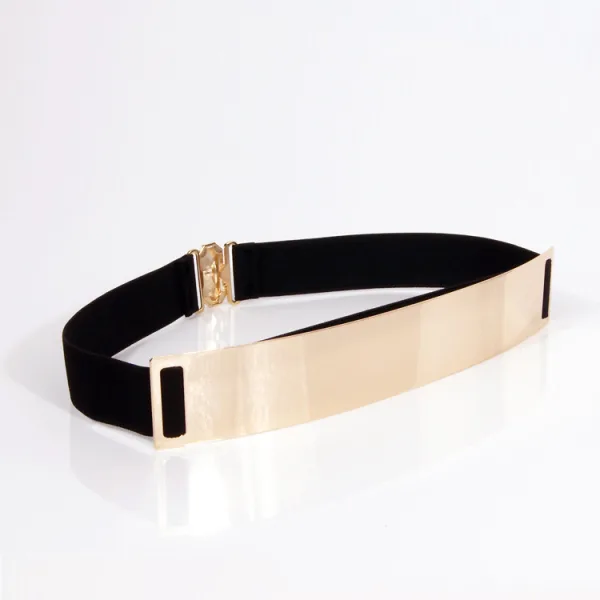 Women's Designer Style Gold Metal Panel Belt - Image 2